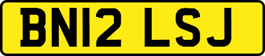 BN12LSJ