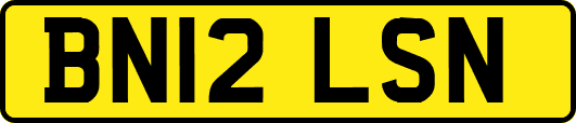 BN12LSN