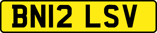 BN12LSV