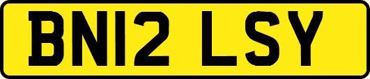 BN12LSY