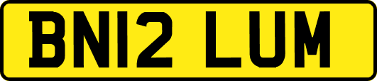 BN12LUM