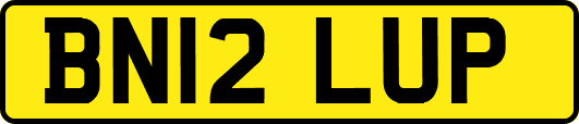 BN12LUP