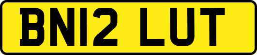 BN12LUT