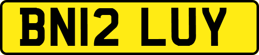 BN12LUY