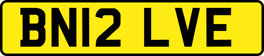 BN12LVE