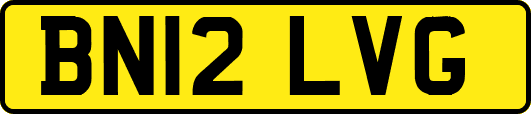 BN12LVG
