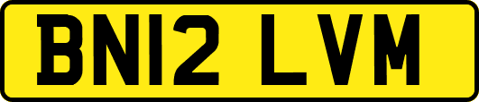 BN12LVM