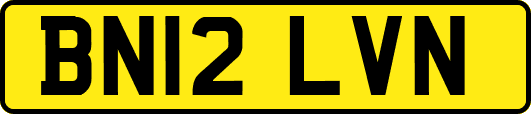 BN12LVN