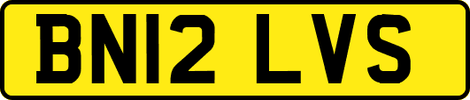 BN12LVS