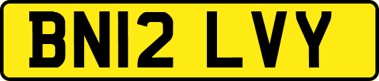 BN12LVY