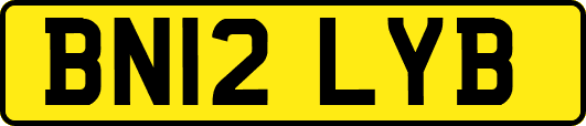 BN12LYB