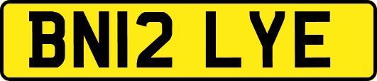 BN12LYE