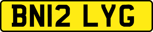 BN12LYG