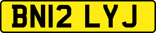 BN12LYJ