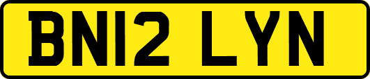 BN12LYN