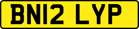 BN12LYP