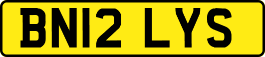BN12LYS