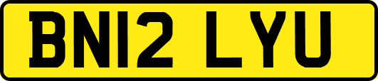 BN12LYU