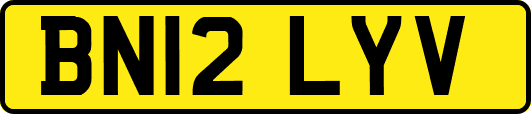 BN12LYV