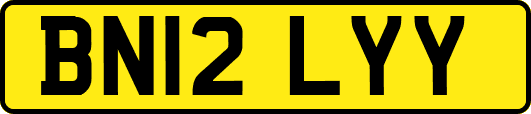 BN12LYY