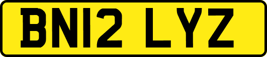 BN12LYZ