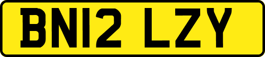 BN12LZY