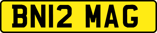 BN12MAG
