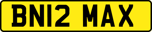 BN12MAX