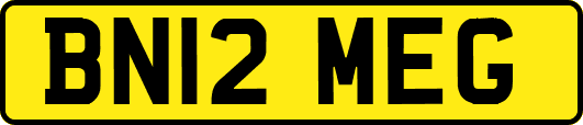 BN12MEG