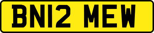 BN12MEW