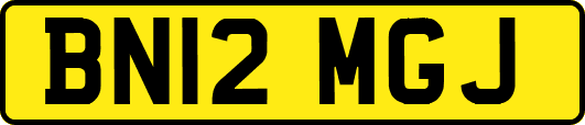 BN12MGJ