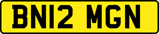 BN12MGN