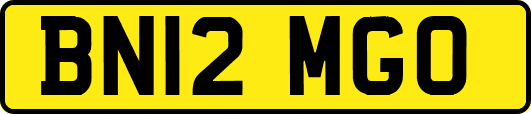BN12MGO