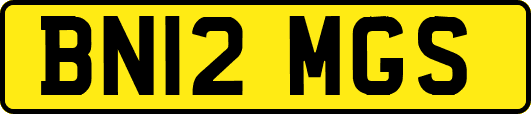 BN12MGS