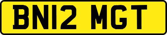 BN12MGT