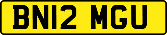 BN12MGU