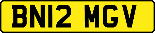 BN12MGV
