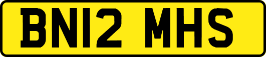 BN12MHS