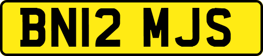 BN12MJS