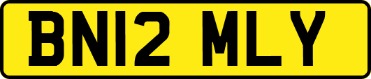 BN12MLY