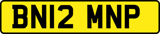 BN12MNP