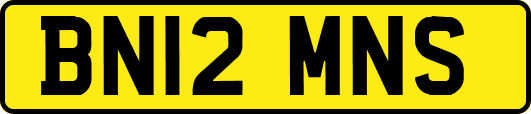 BN12MNS