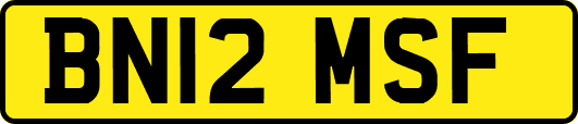 BN12MSF