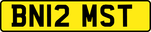 BN12MST