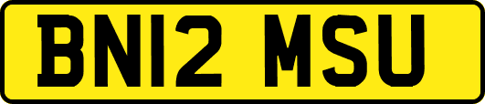 BN12MSU
