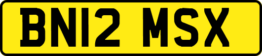 BN12MSX