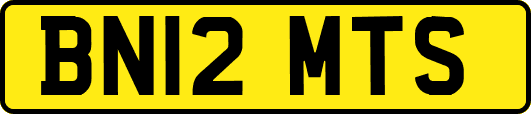 BN12MTS