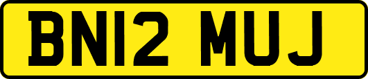 BN12MUJ