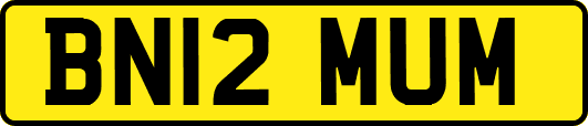 BN12MUM