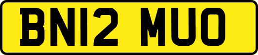 BN12MUO